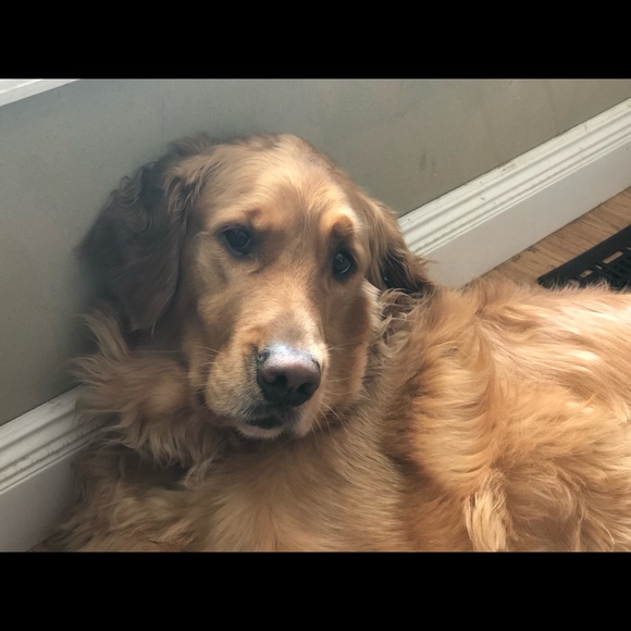 Meet your Posher, Diane - Picture 7 of 8